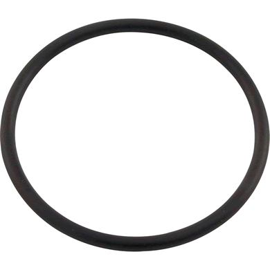 Pentair Genuine OEM Replacement Union O-Ring, 071426Z