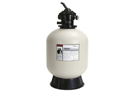 Pentair Tagelus TA60D 145241 24-Inch Sand Filter with Top-Mount Valve