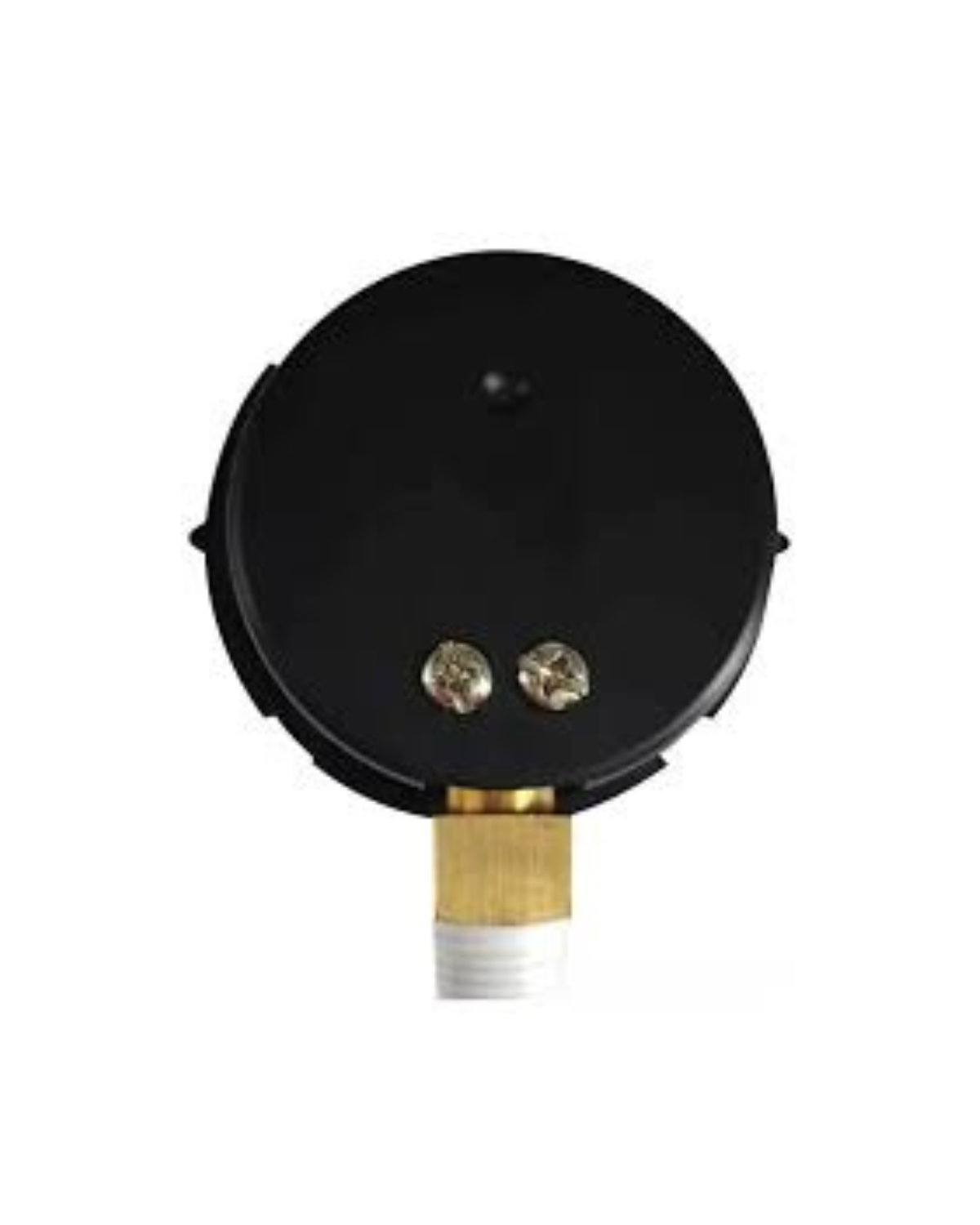 Pentair 1/4" MPT Pressure Gage with Indicator — 190058Z - alternate view