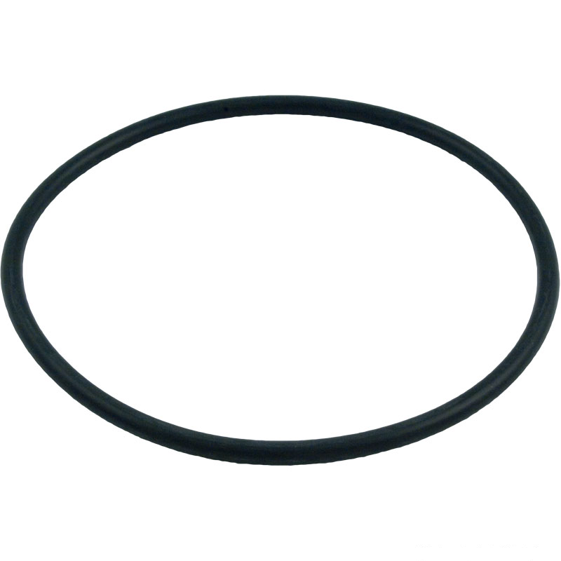Pentair Valve Body O-Ring for Cristal-Flo II and Sand Dollar Filters, 272541