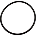 Pentair Lid O-Ring, 5-3/4" ID, 350013Z