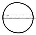 Pentair WhisperFlo XF Seal Plate O-Ring, 351446