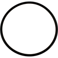 Pentair WhisperFlo WFE Diffuser O-Ring, 355227Z