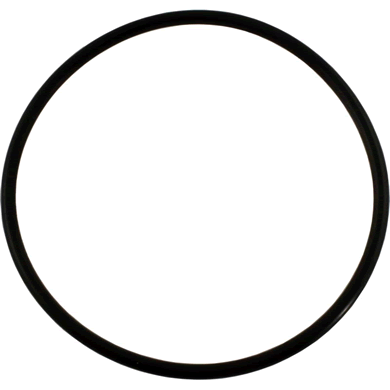Pentair WhisperFlo WFE Diffuser O-Ring, 355227Z