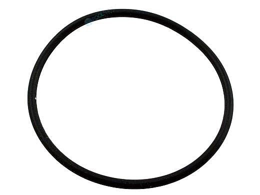 Pentair Waterfall/Challenger Pump Diffuser O-Ring, 355331Z