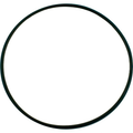Pentair SuperFlo Seal Bracket O-Ring, 355619Z