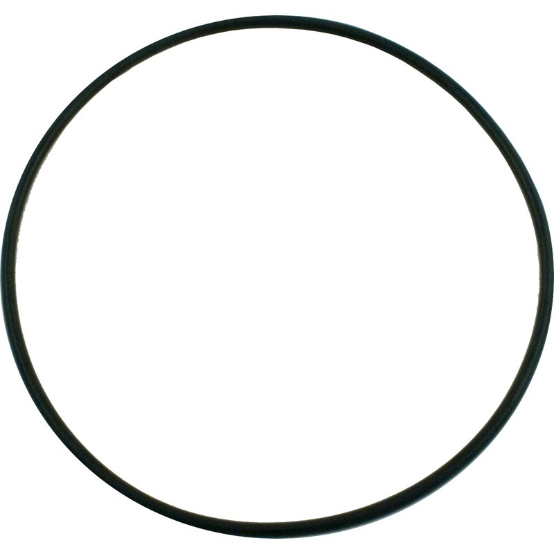 Pentair SuperFlo Seal Bracket O-Ring, 355619Z