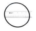 Pentair Strainer Cover O-Ring, Buna-N 70, #2-357, 357255Z
