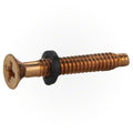 Pentair Brass Pilot Screw with Washer 79104800Z