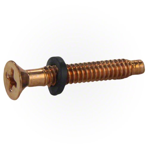 Pentair Brass Pilot Screw with Washer 79104800Z