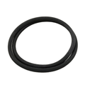 Pentair Tank Body O-Ring, Clean and Clear, 87300400Z