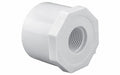 Westlake Pipe & Fittings 2" x .5" White SP x FPT SCH40 Reducer Bushing — 438247