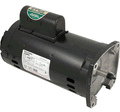 Century B2844 3 HP Square Flange Pool Pump Motor - 208/230V
