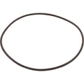Hayward SwimClear C100S/C150S and C200S Lid O-Ring, CXFHR1001