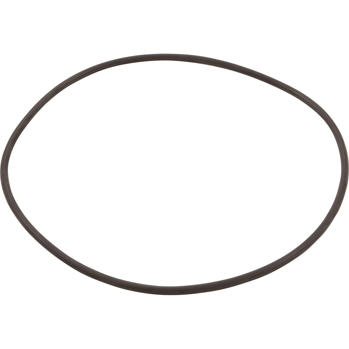 Hayward SwimClear C100S/C150S and C200S Lid O-Ring, CXFHR1001