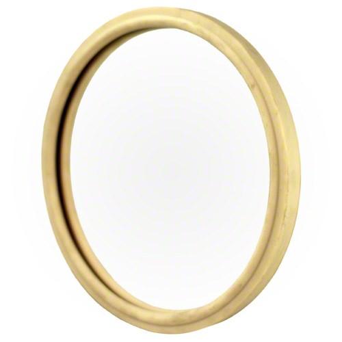 Pentair Gasket for 8-3/8" Light Lens, 79101600Z — product view 1