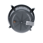 Pentair Concrete Amerlite PVC Niche, 79206700 — product view