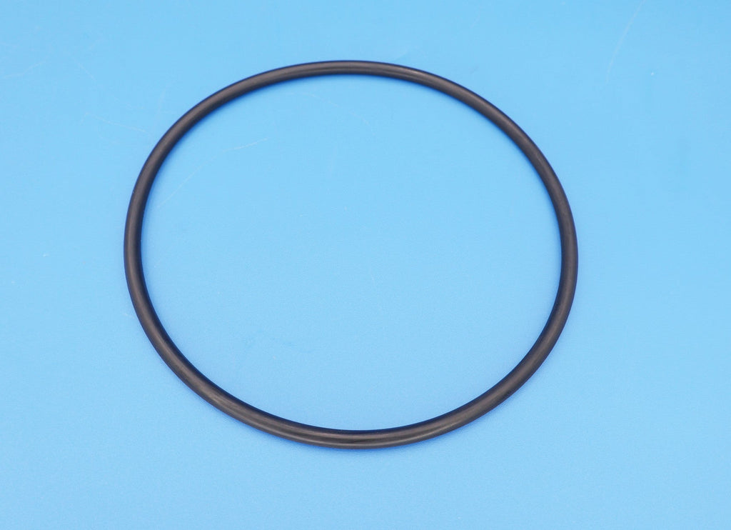 Hayward Leaf Canister O-Ring, AXW542 — product view 1