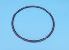 Hayward Leaf Canister O-Ring, AXW542 — product view 1