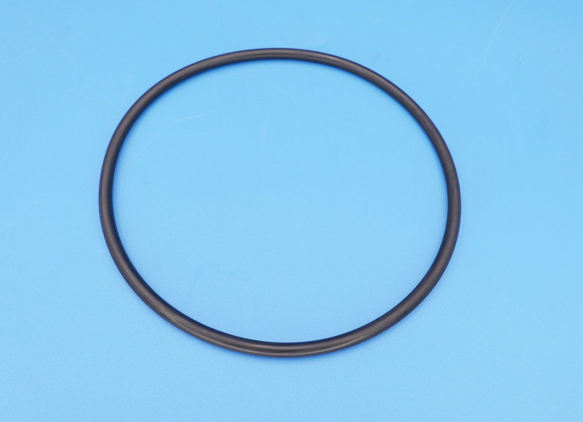 Hayward Leaf Canister O-Ring, AXW542 — product view 1