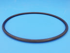 Hayward Leaf Canister O-Ring, AXW542 — product view 2