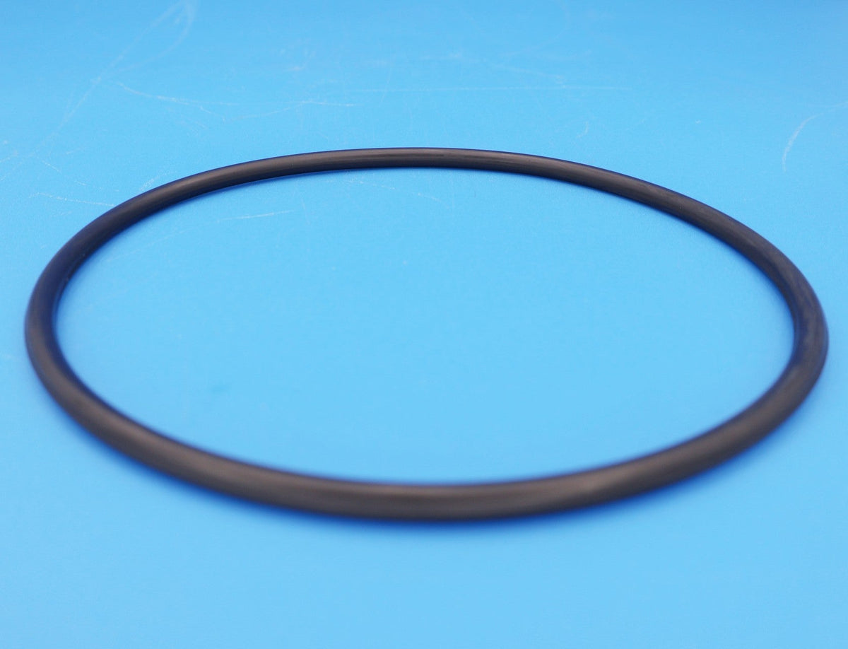 Hayward Leaf Canister O-Ring, AXW542 — product view 2
