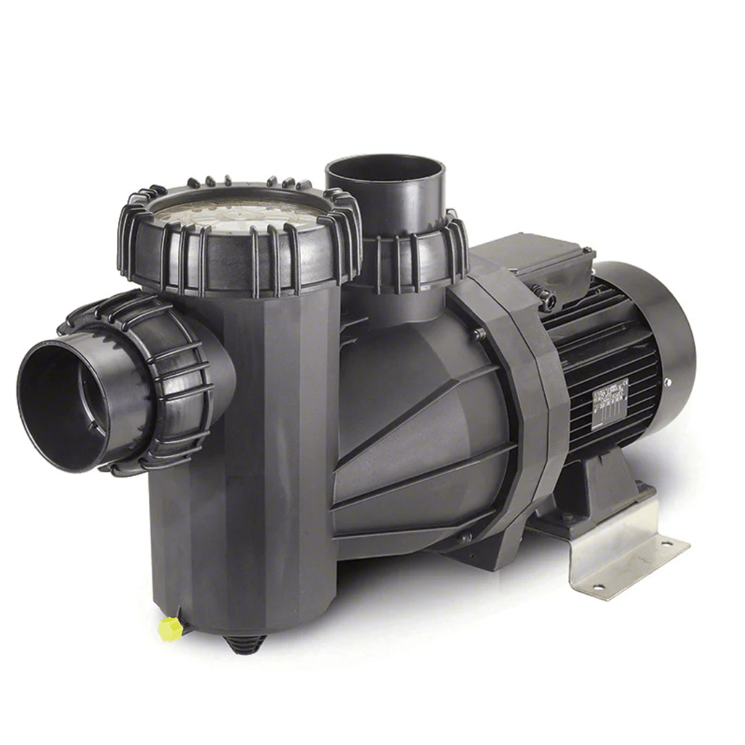 Speck 95-IX IG273-1500F-000 5 HP Three-Phase Commercial Pool Pump