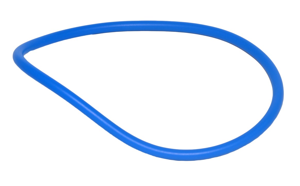 Sta-Rite Pump Strainer Cover O-Ring — U9-229Z