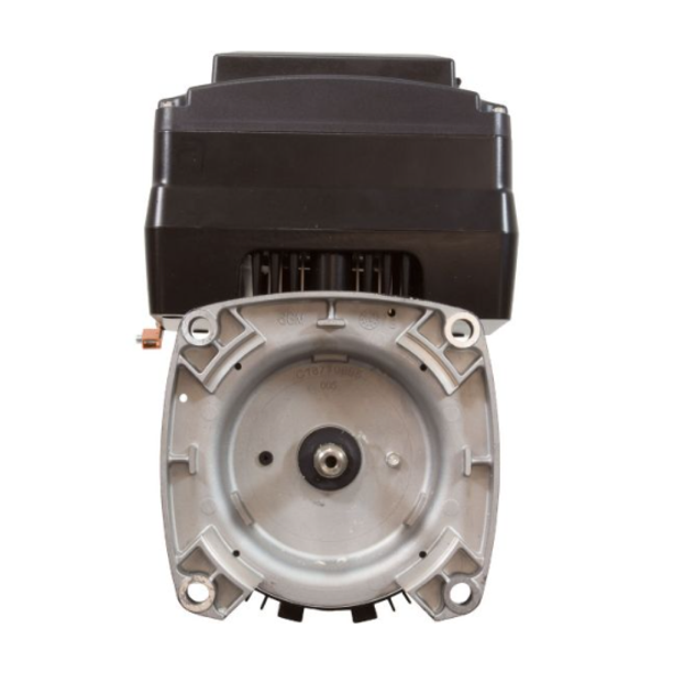 U.S. Motors Neptune NPTQ165 1.65 THP Variable-Speed Pool Pump Motor - alternate view
