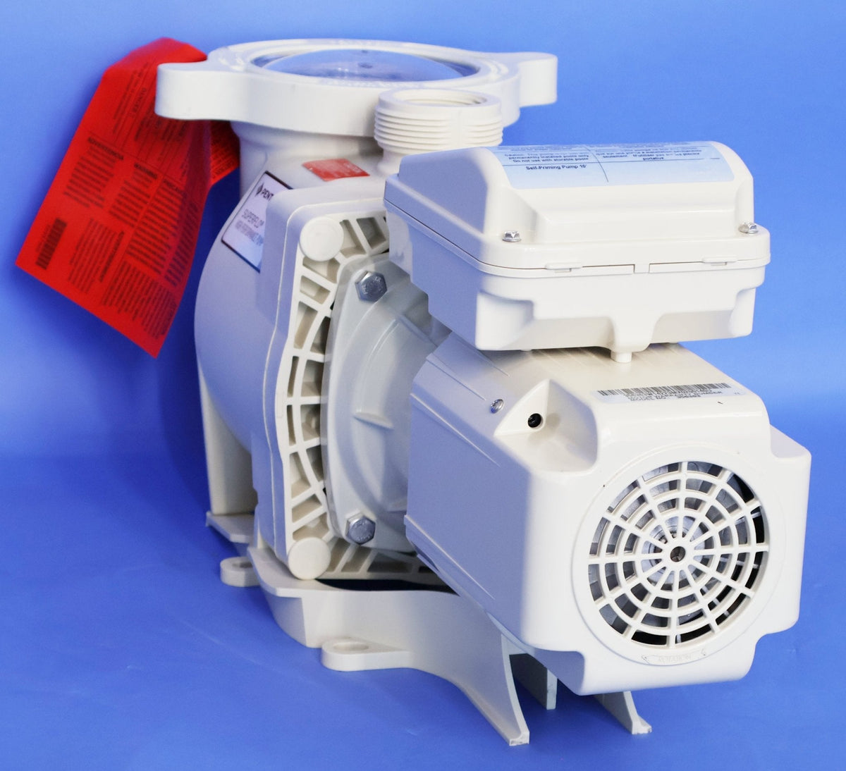 Pentair 348190 SuperFlo 1.1 THP TEFC pool pump - Rear motor view