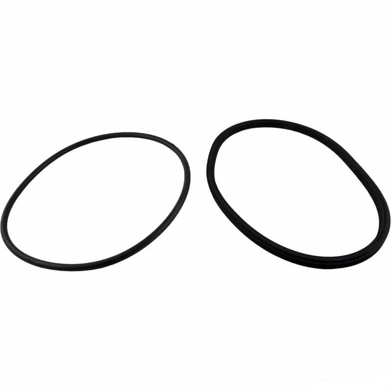 Jandy Lid Seal, R0446200