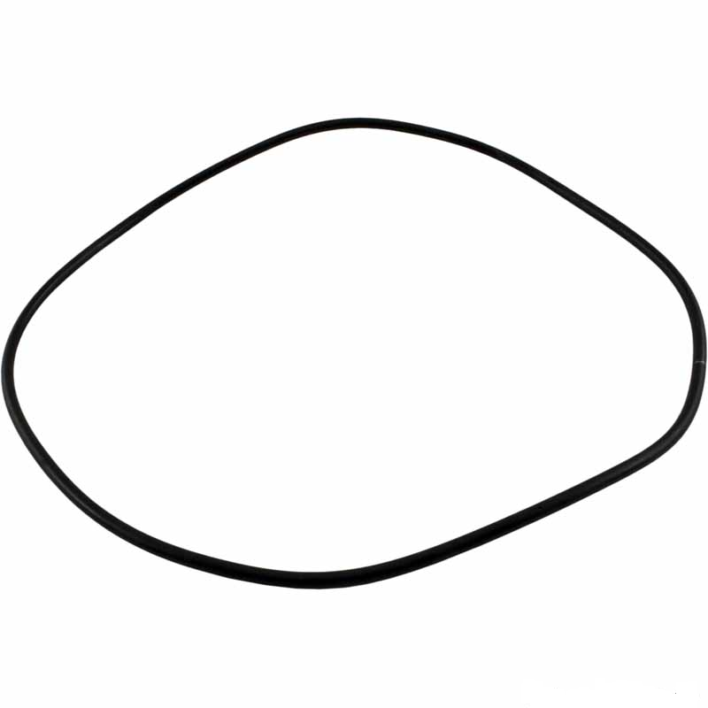 Jandy O-Ring, Backplate, R0446300