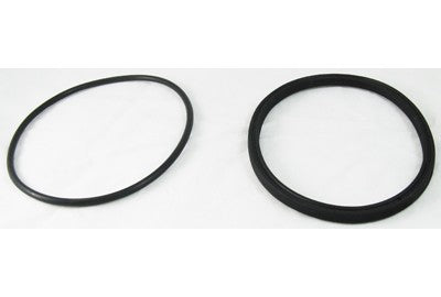 Jandy Pump Lid Seal Gasket with O-Ring, R0449100