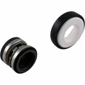 Jandy Mechanical Seal, 5/8" ID, R0479400