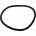 Jandy FloPro Lid O-Ring, FHP, R0480200