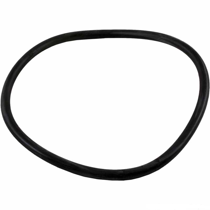 Jandy FloPro Lid O-Ring, FHP, R0480200