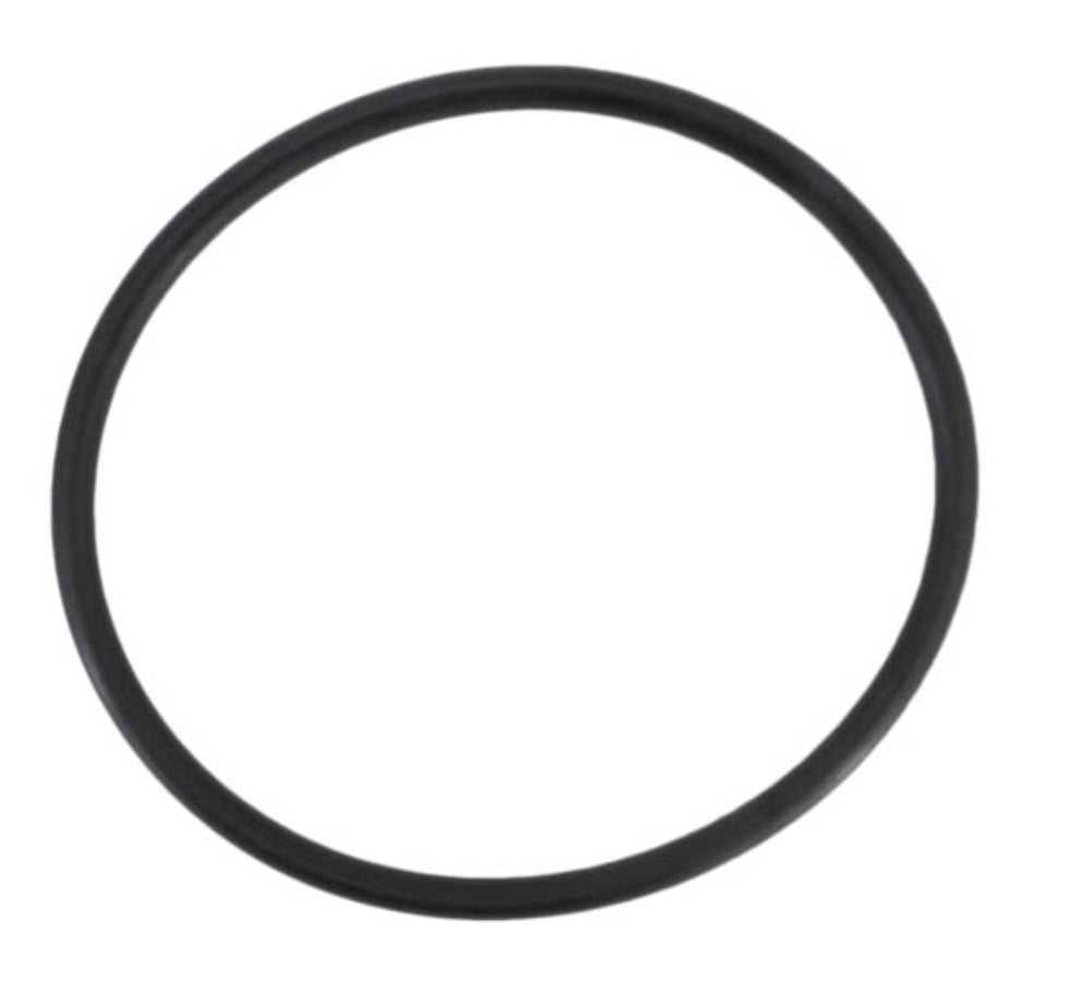 Jandy O-Ring for TruClear Cell, R0694100