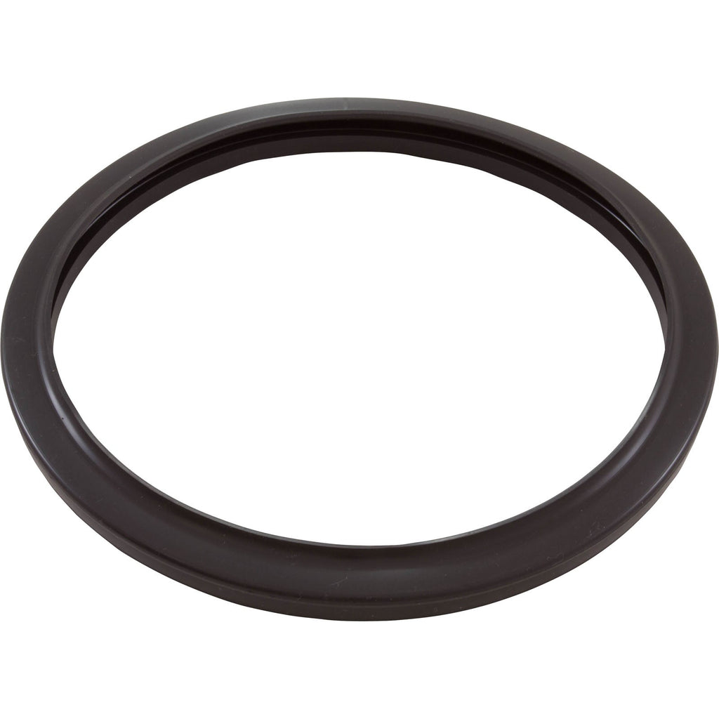 Jandy Pro Series Silicone Gasket, Large Pool Light, R0790500