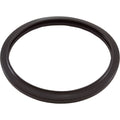 Jandy Pro Series Silicone Gasket, Large Pool Light, R0790500