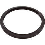 Jandy Pro Series Silicone Gasket, Large Pool Light, R0790500