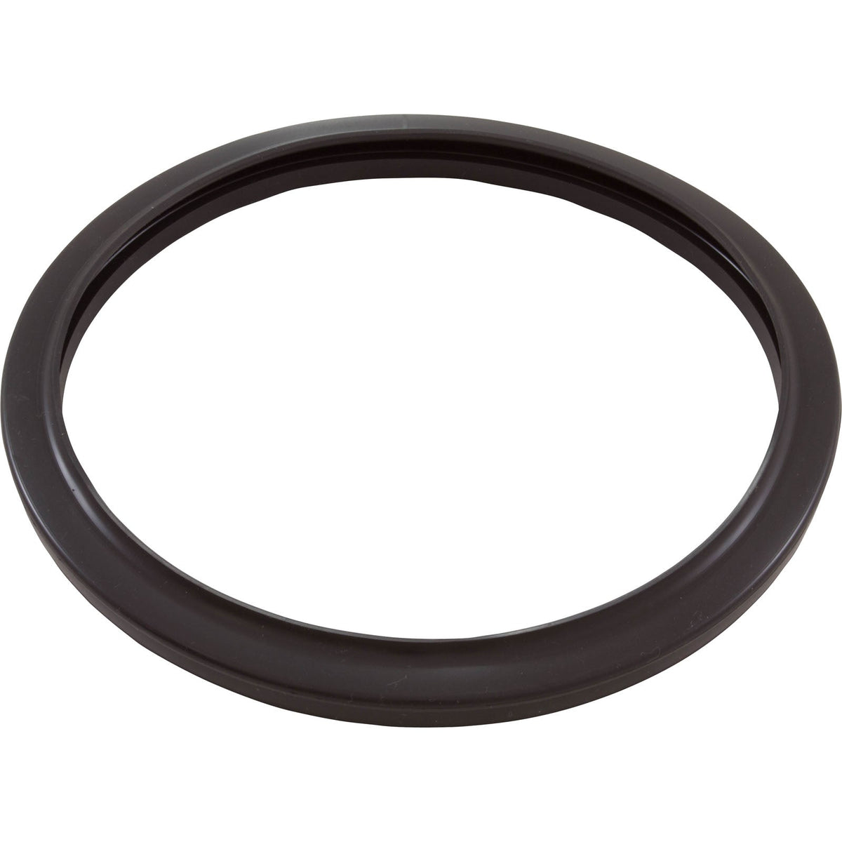 Jandy Pro Series Silicone Gasket, Large Pool Light, R0790500