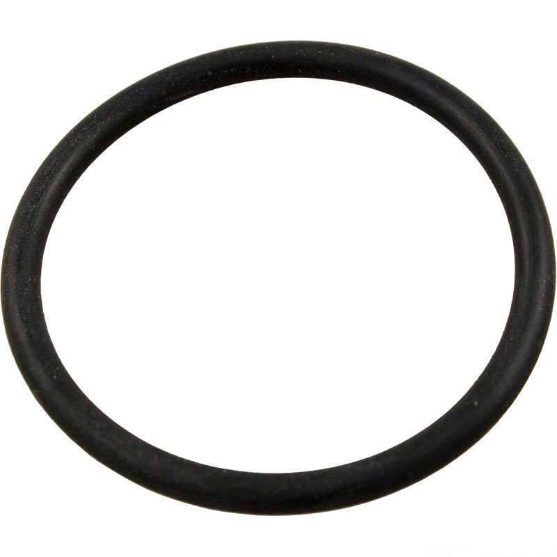 Hayward O-Ring, 2-1/2", SX220Z2